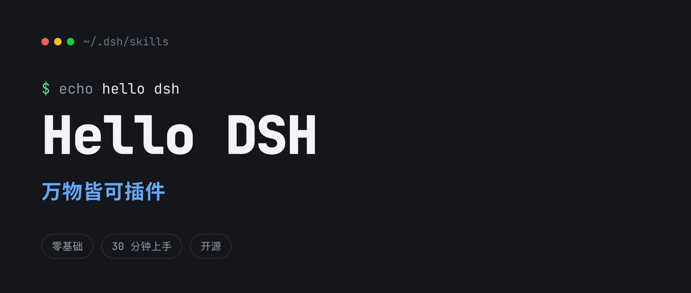 Hello DSH — 万物皆可插件